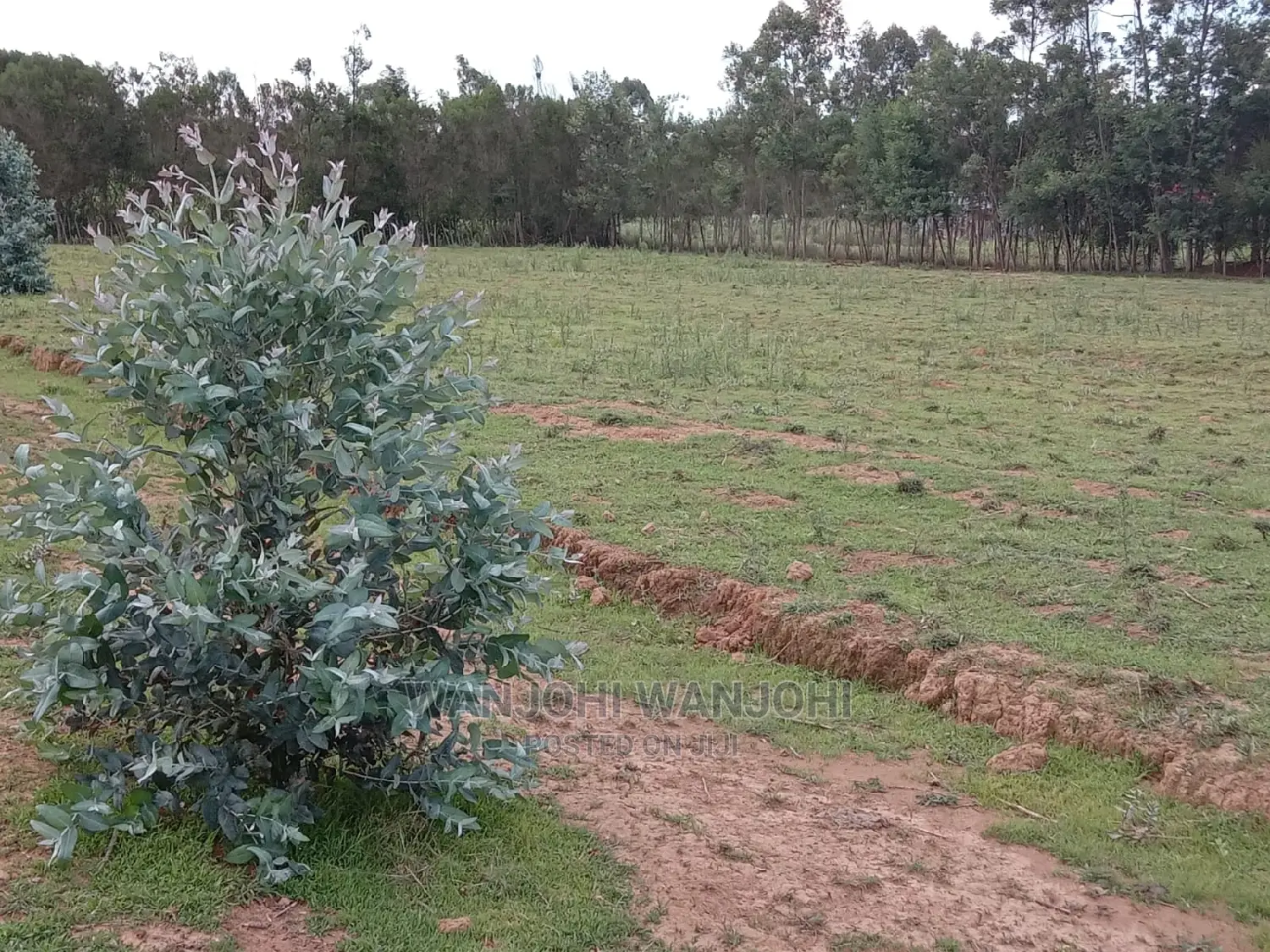 Exclusive Nyandarua County Land Plots - Your Dream Land Awaits in Nyahururu