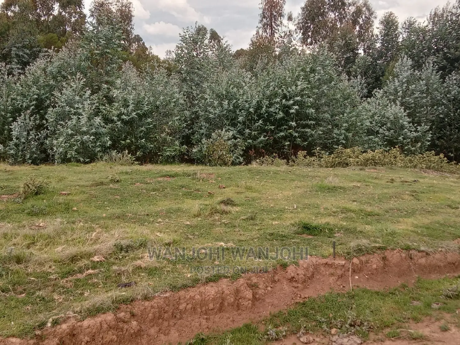 Exclusive Nyandarua County Land Plots - Your Dream Land Awaits in Nyahururu
