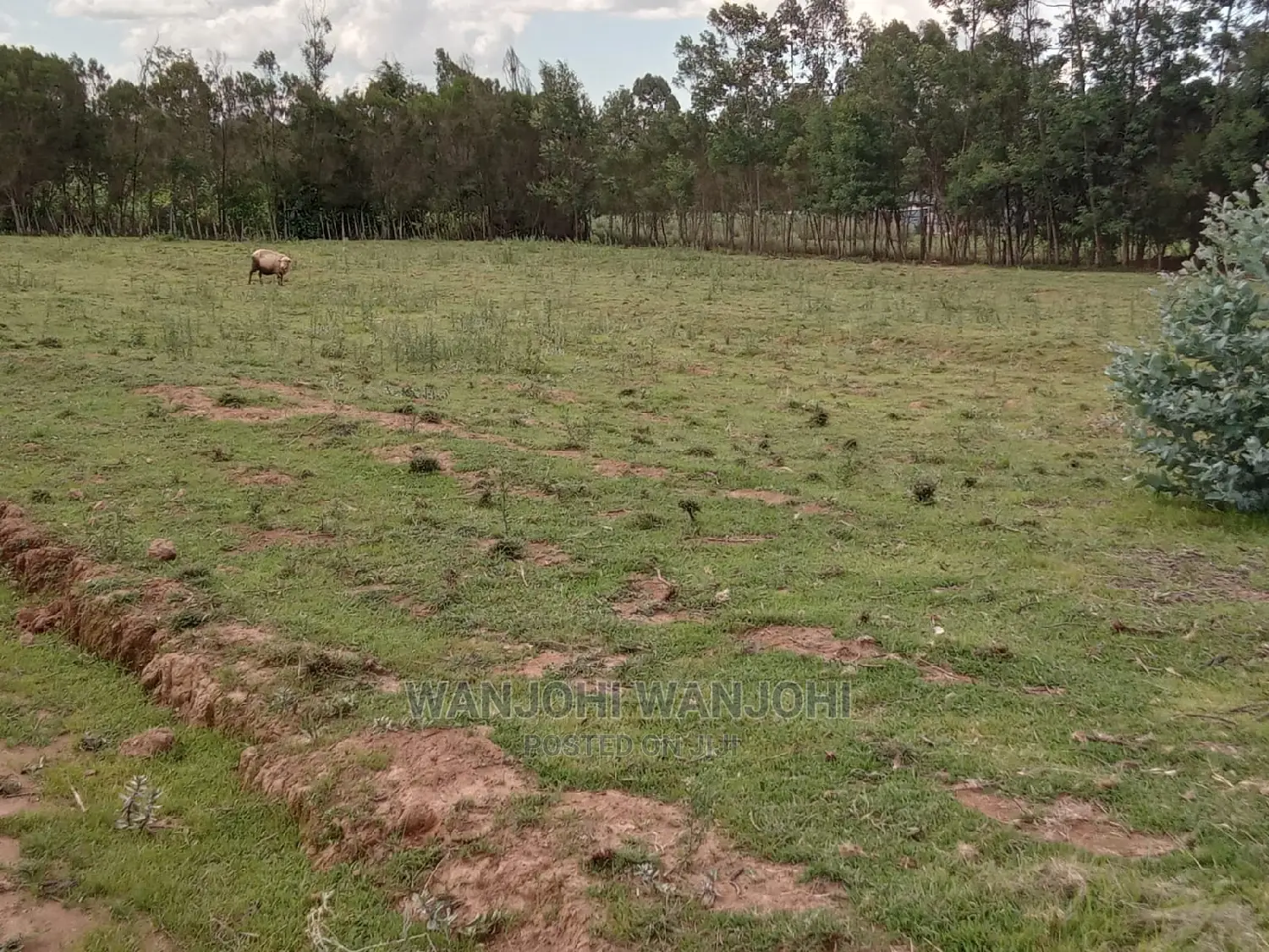  High-quality 50x100 plots in Nyandarua - ideal for real estate ventures in Karau