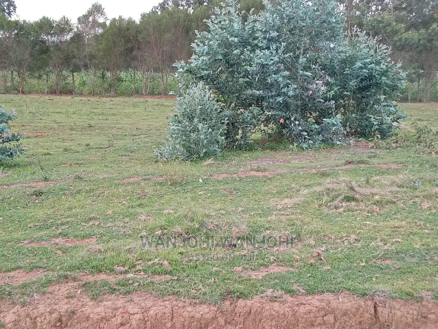  High-quality 50x100 plots in Nyandarua - ideal for real estate ventures in Karau