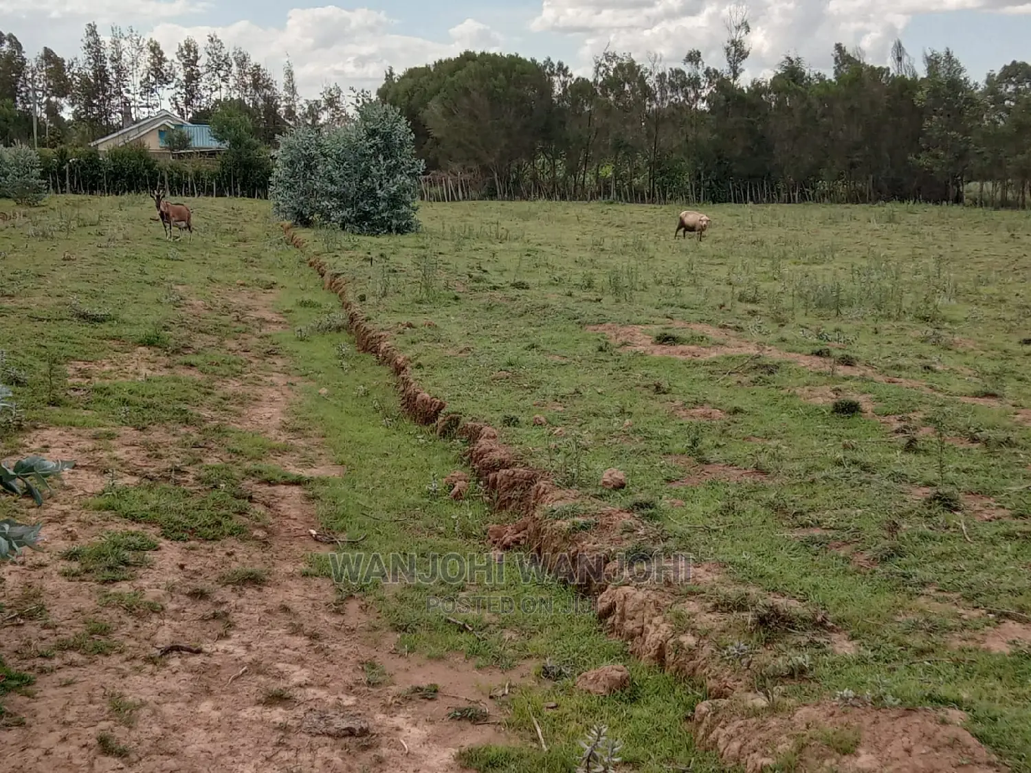 Invest in Nyandarua: Unique Land Opportunities Await! in Nakuru Town West