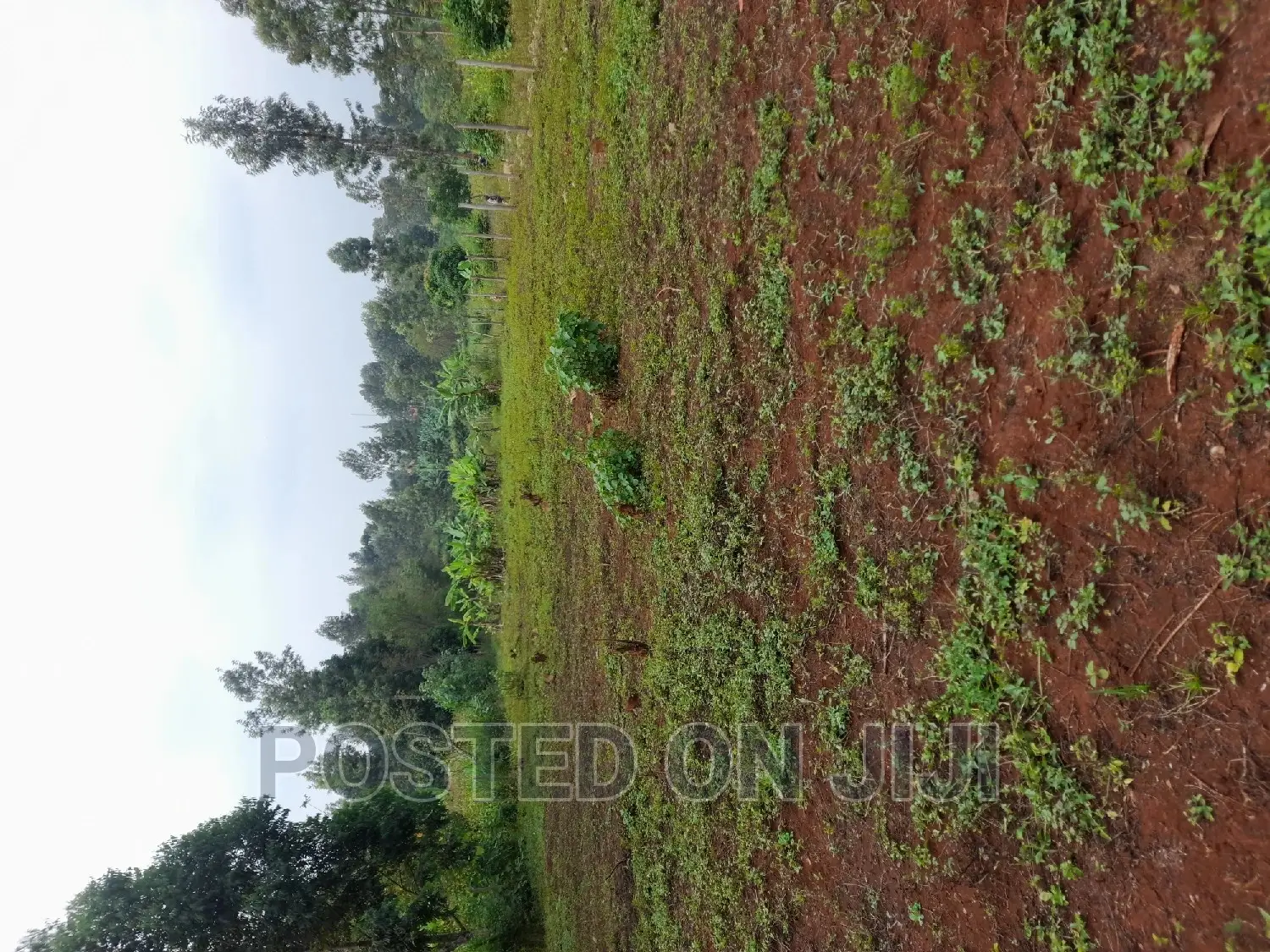 Kenyatta Road in RedSoil Estate