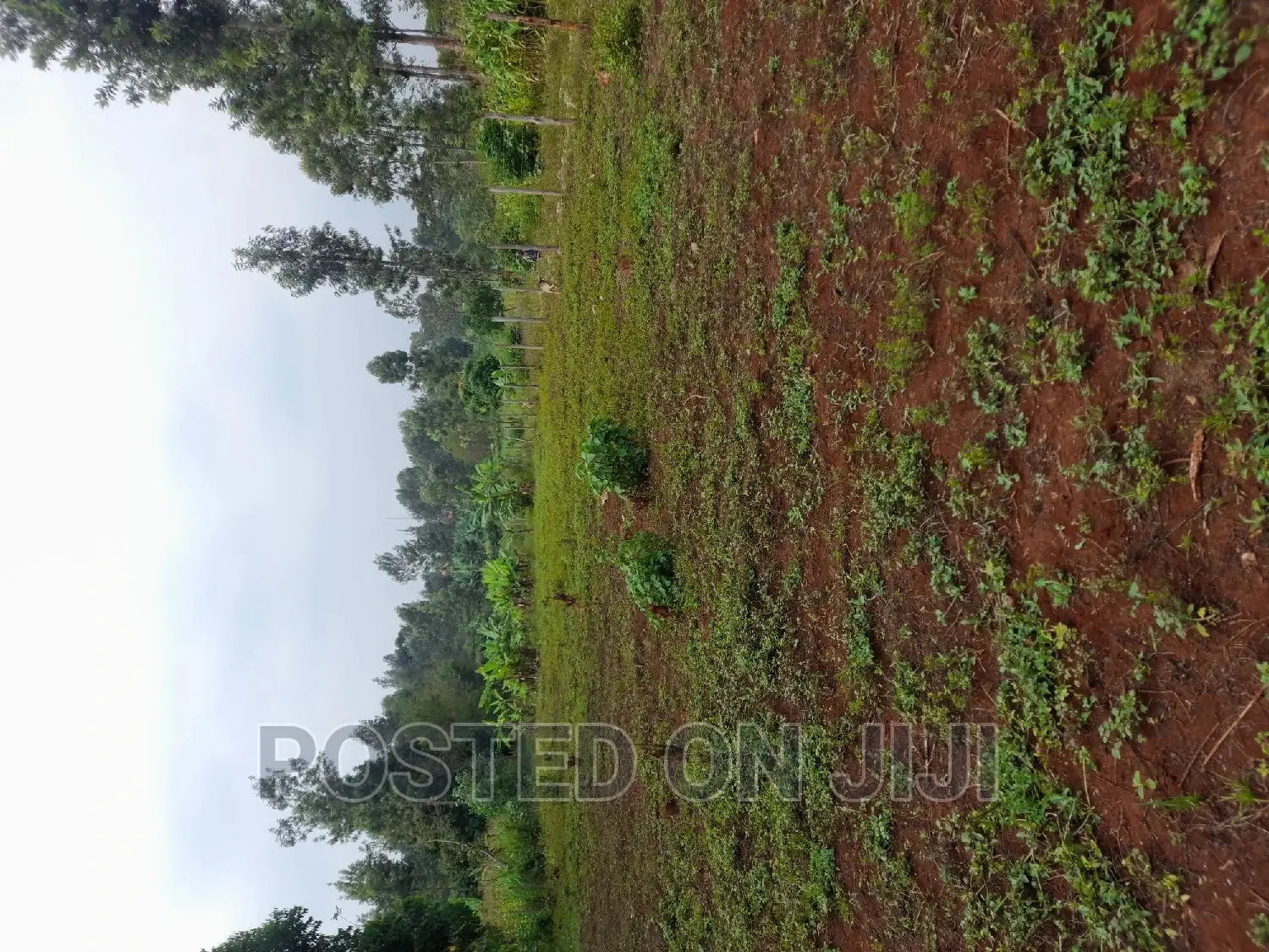 Kenyatta Road in RedSoil Estate