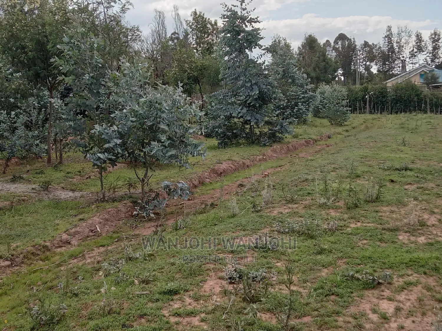 Affordable Nyandarua Properties (50x100) in Nairobi Central