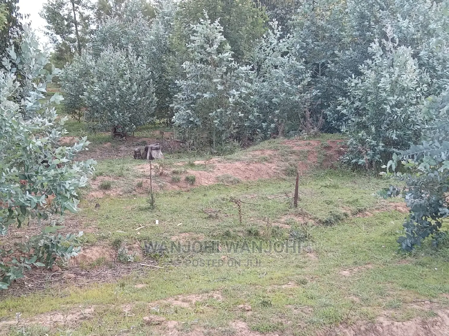 Affordable Nyandarua Properties (50x100) in Nairobi Central