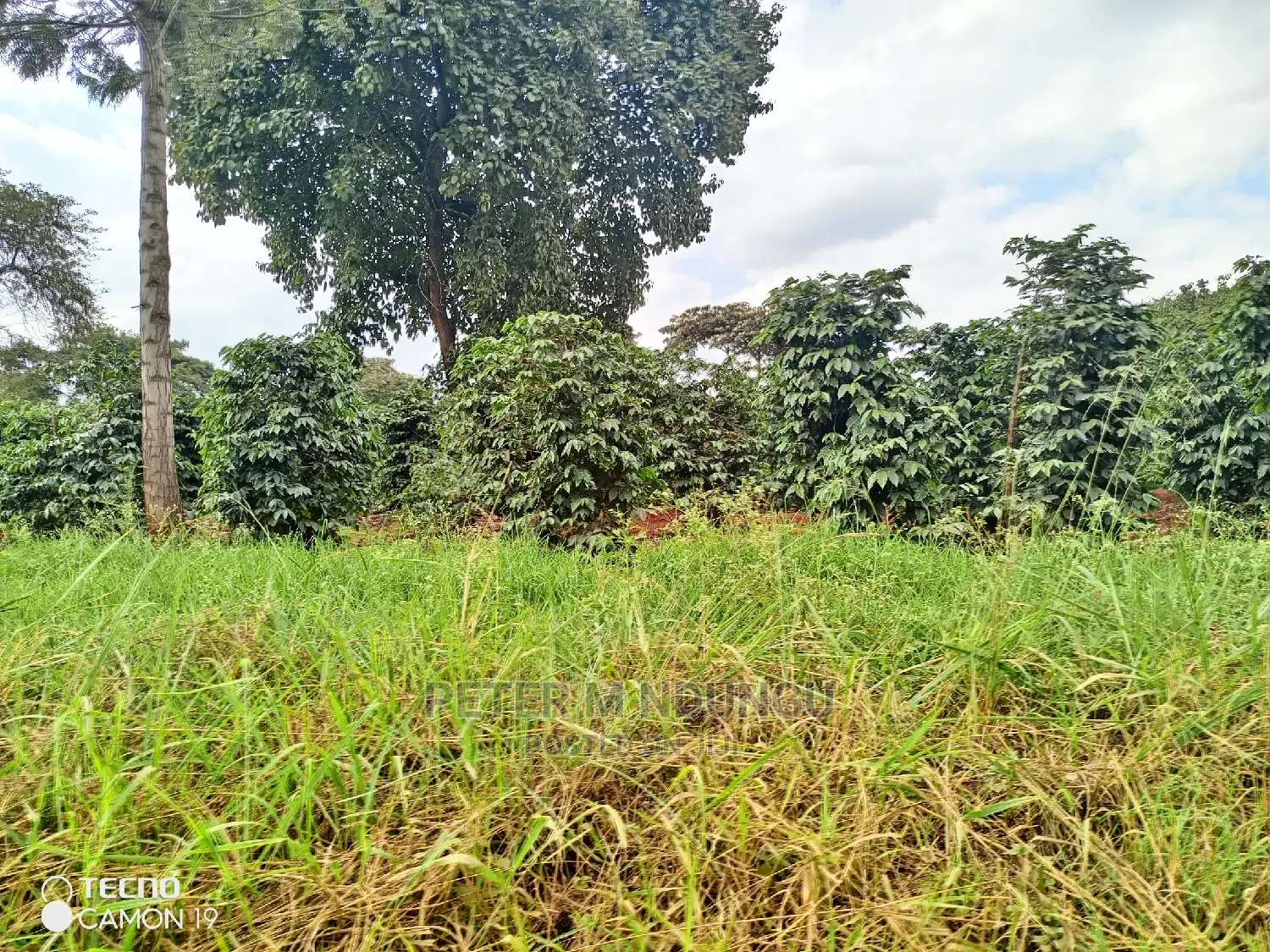 Prime 403 Acre Kamiti Corner Property for Sale in Kiambu / Kiambu 
