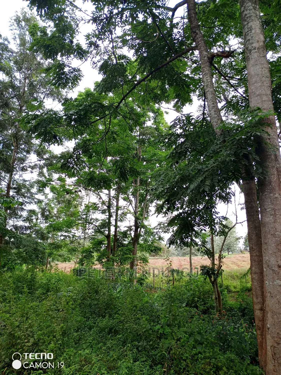 Prime 403 Acre Kamiti Corner Property for Sale in Kiambu / Kiambu 