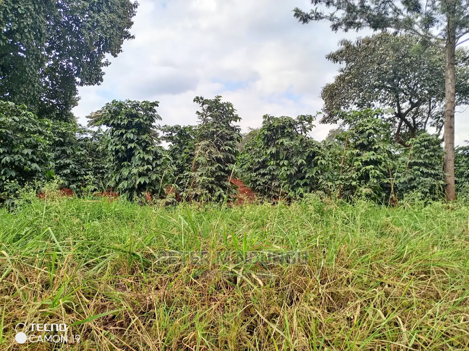 Prime 403 Acre Kamiti Corner Property for Sale in Kiambu / Kiambu 