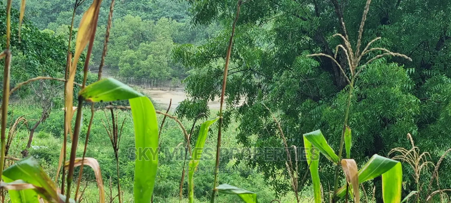 Creek Beach, Mtwapa: 3-Acre Virgin Land for Sale in Mtwapa