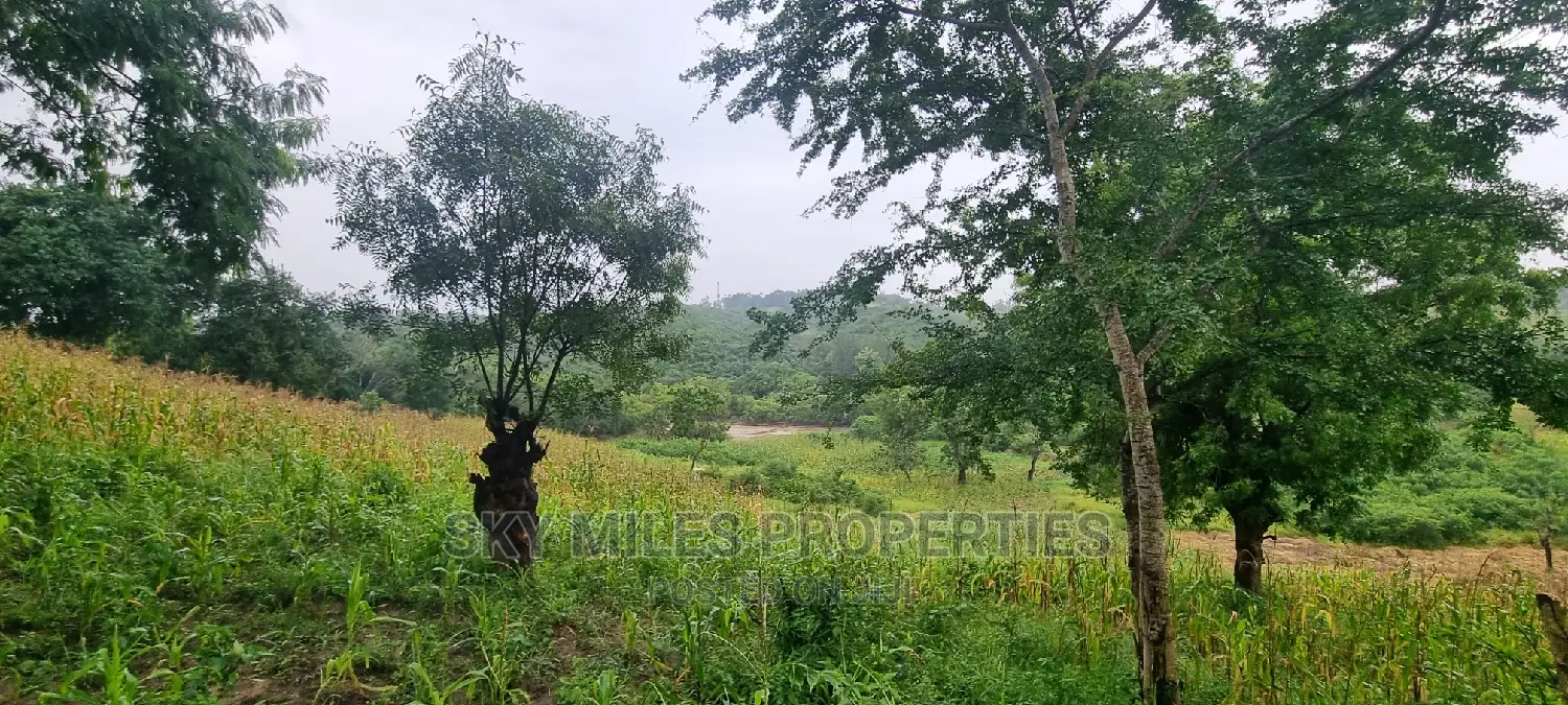 Creek Beach, Mtwapa: 3-Acre Virgin Land for Sale in Mtwapa