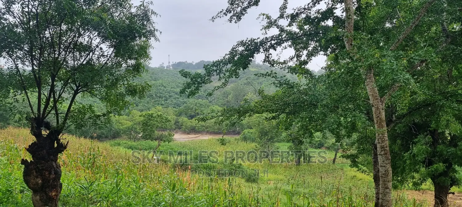 Creek Beach, Mtwapa: 3-Acre Virgin Land for Sale in Mtwapa
