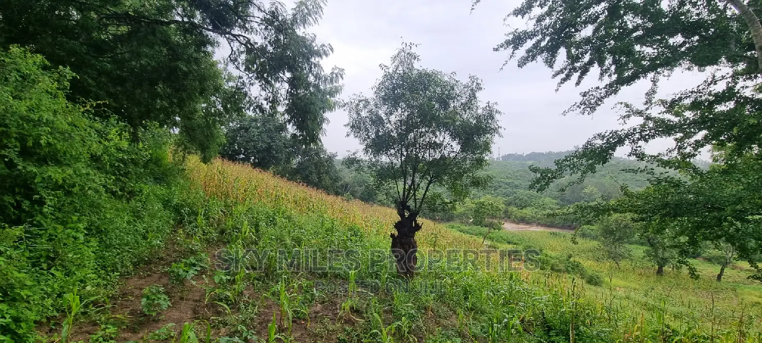 Creek Beach, Mtwapa: 3-Acre Virgin Land for Sale in Mtwapa