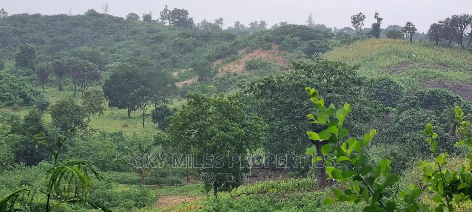 Creek Beach, Mtwapa: 3-Acre Virgin Land for Sale in Mtwapa