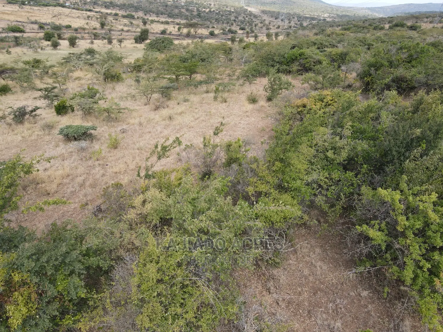 Opportunity: 8.8-acre Land Offering in Baridi, Starting at 3.5 Million Per Acre in Kiserian
