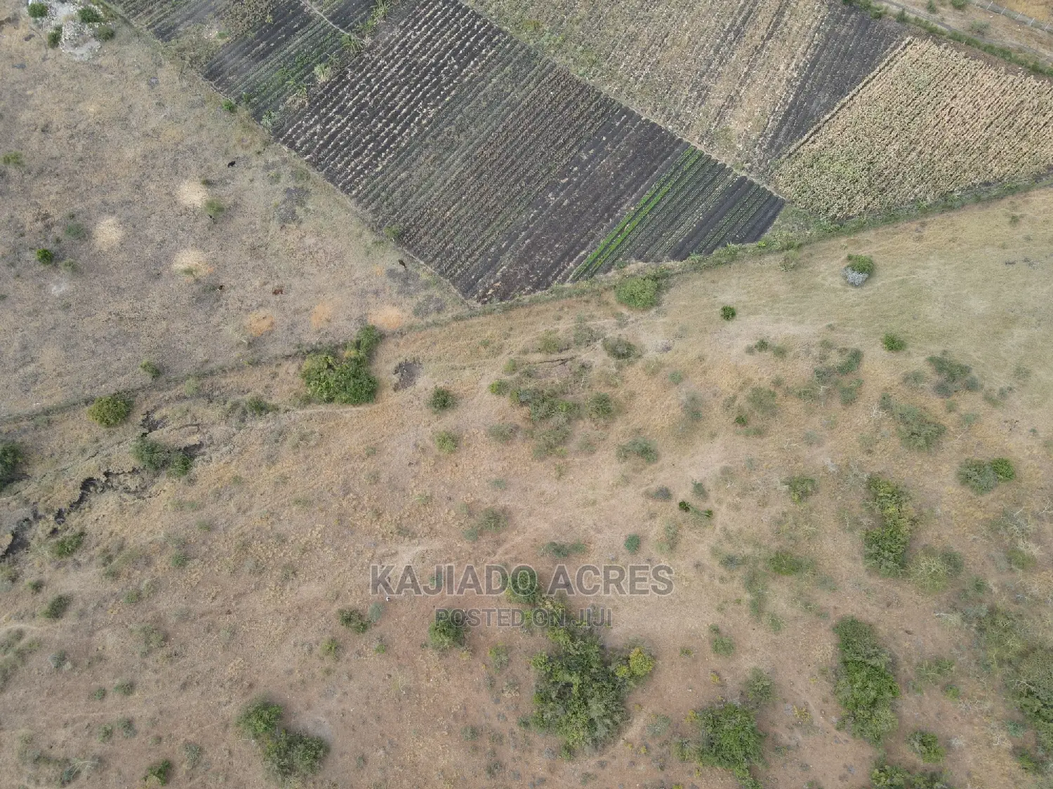 Opportunity: 8.8-acre Land Offering in Baridi, Starting at 3.5 Million Per Acre in Kiserian