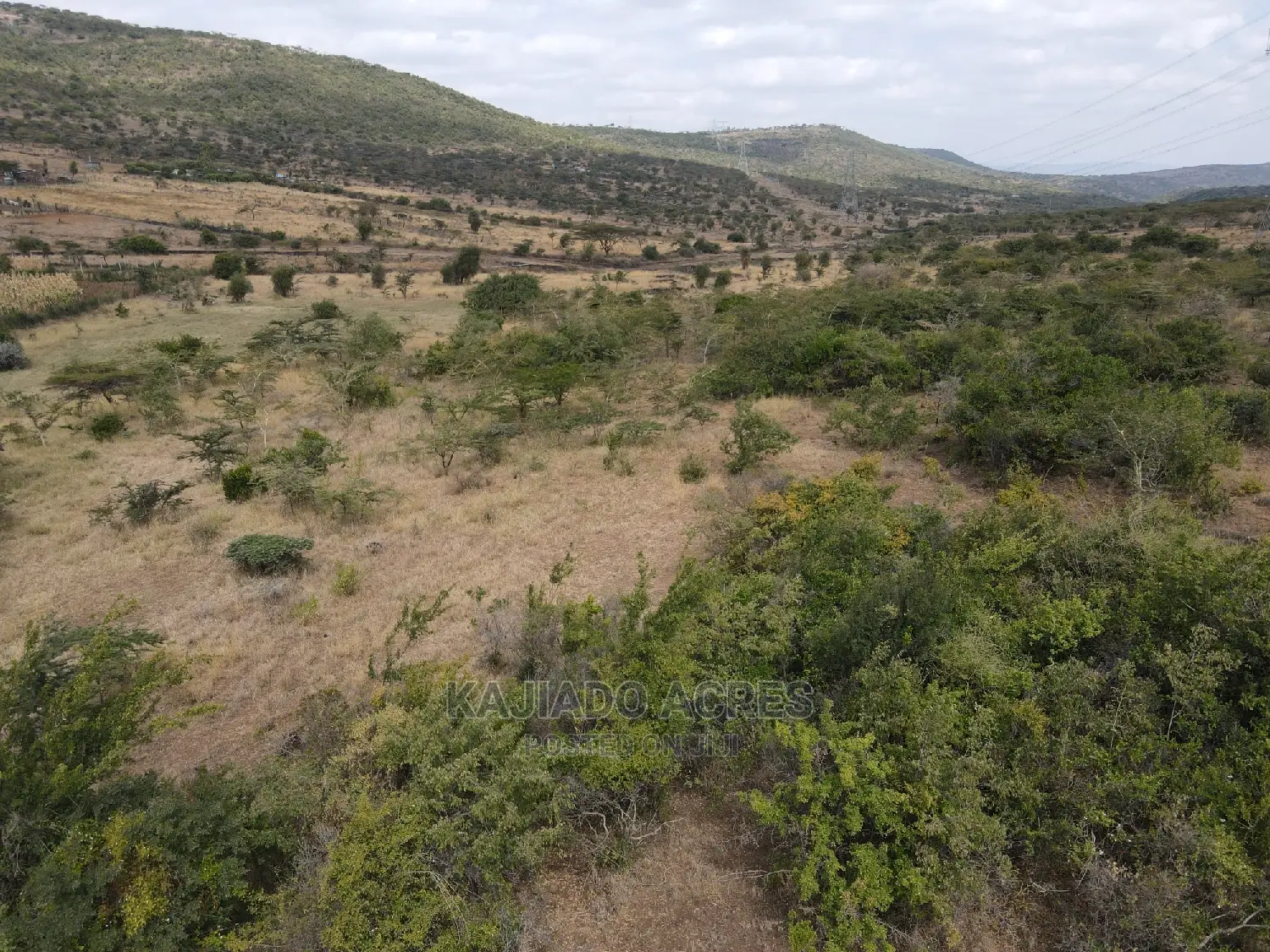 Opportunity: 8.8-acre Land Offering in Baridi, Starting at 3.5 Million Per Acre in Kiserian