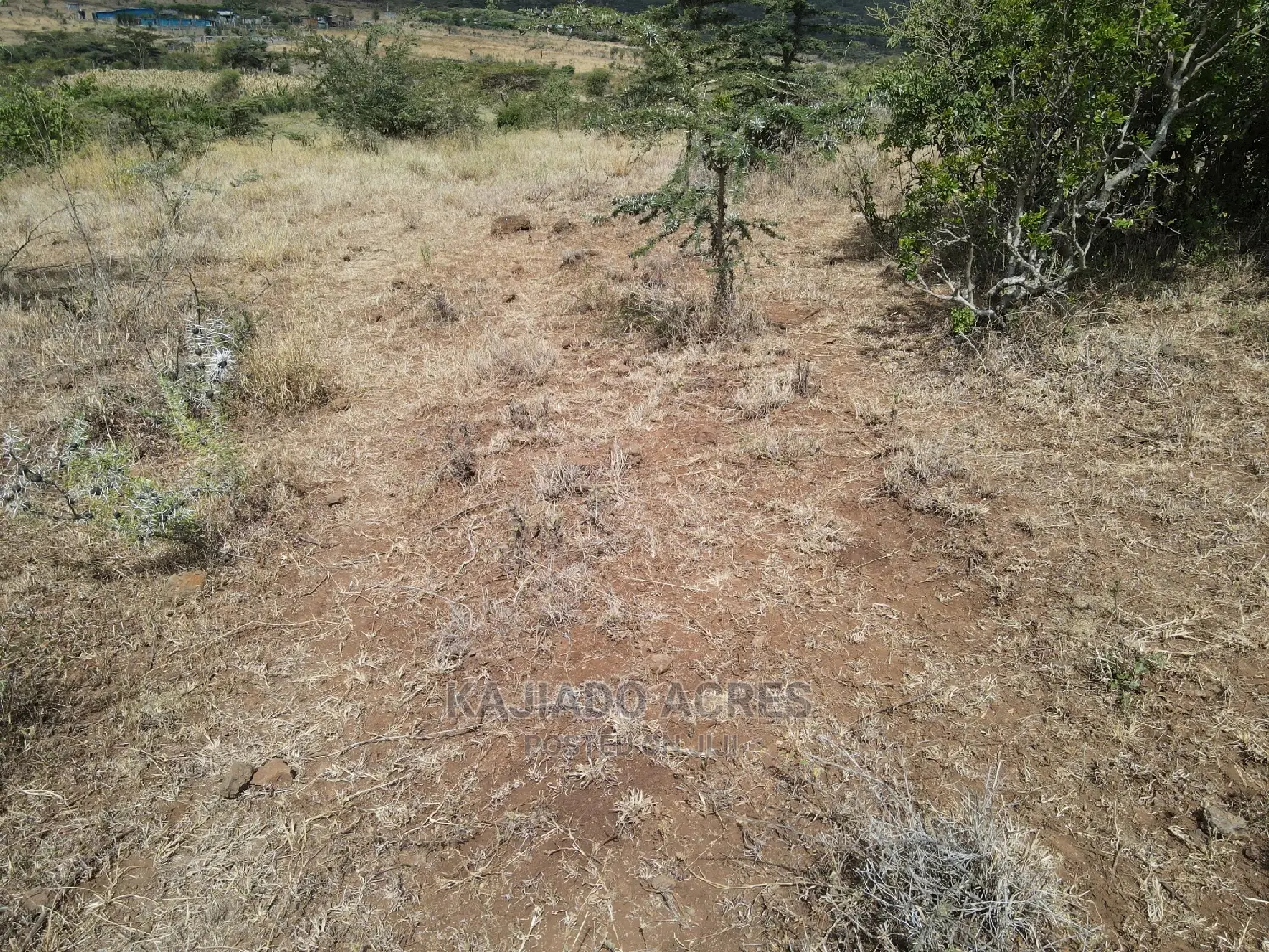 Opportunity: 8.8-acre Land Offering in Baridi, Starting at 3.5 Million Per Acre in Kiserian