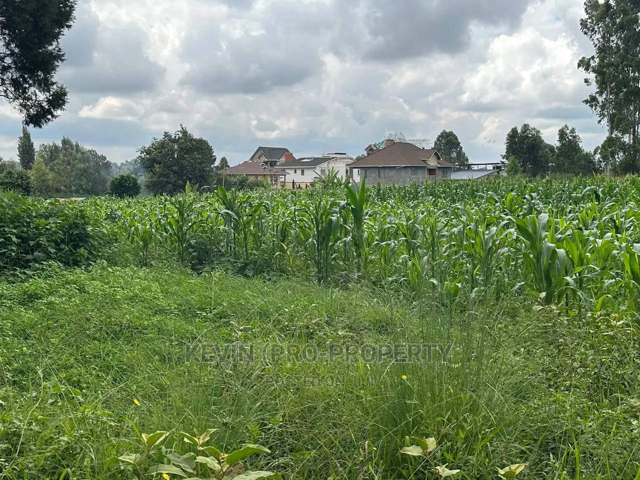 Residential Plot by Southern Bypass: Prime Real Estate Opportunity in Kikuyu