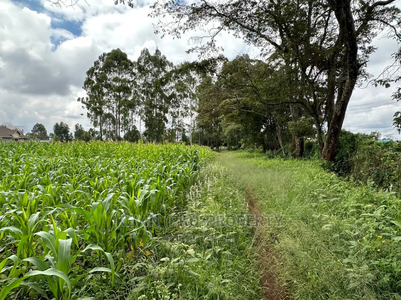 Residential Plot by Southern Bypass: Prime Real Estate Opportunity in Kikuyu