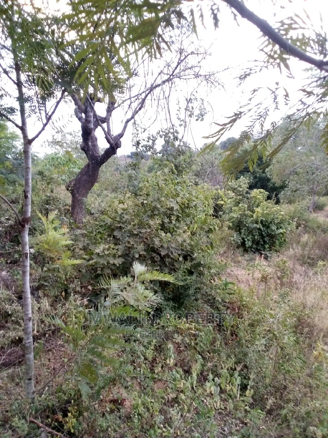 9 Acres ,Katheuni, Matinyani in Matinyani