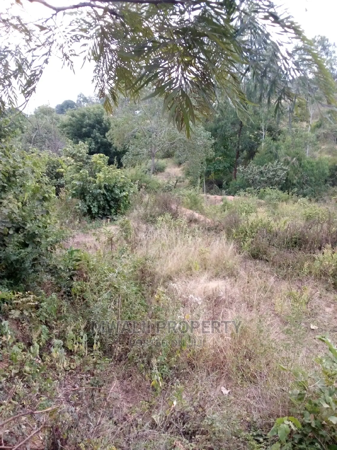 9 Acres ,Katheuni, Matinyani in Matinyani