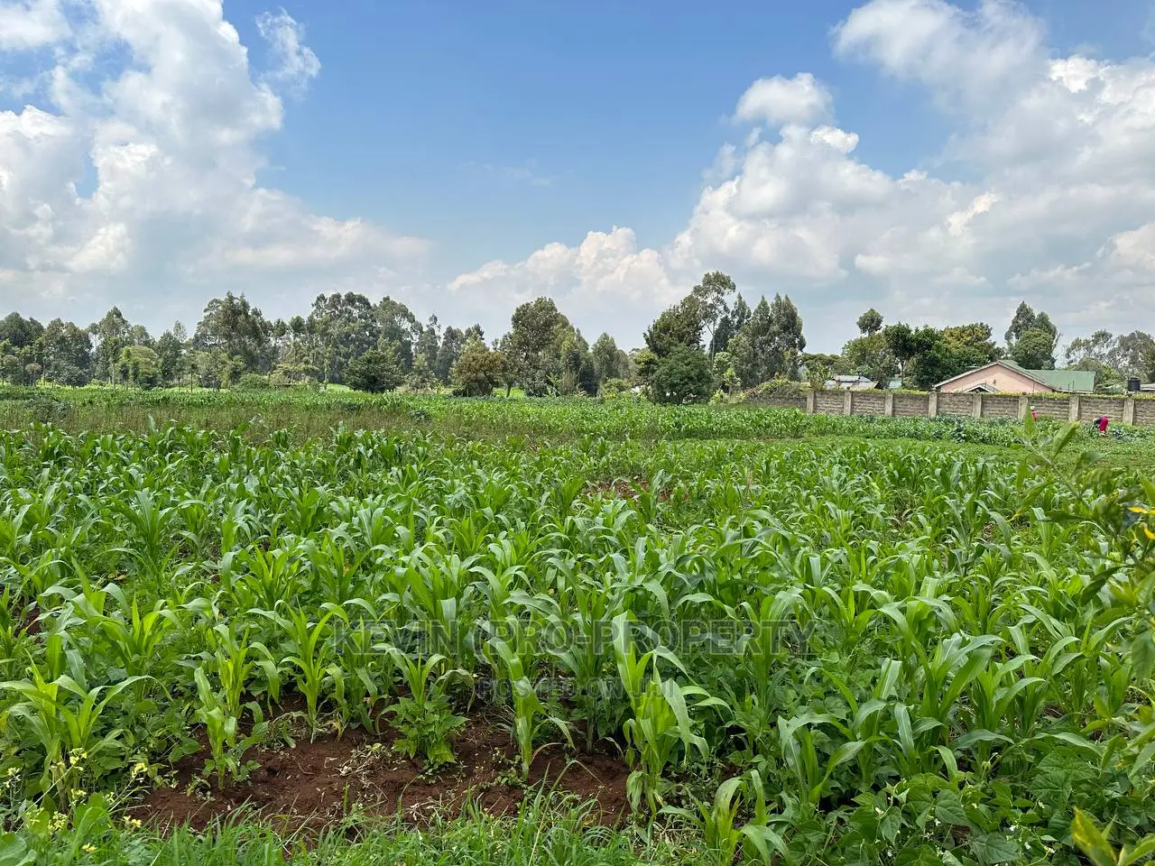 1 Acre Residential Property in Rironi - Close Proximity to Tilisi Estate in Limuru