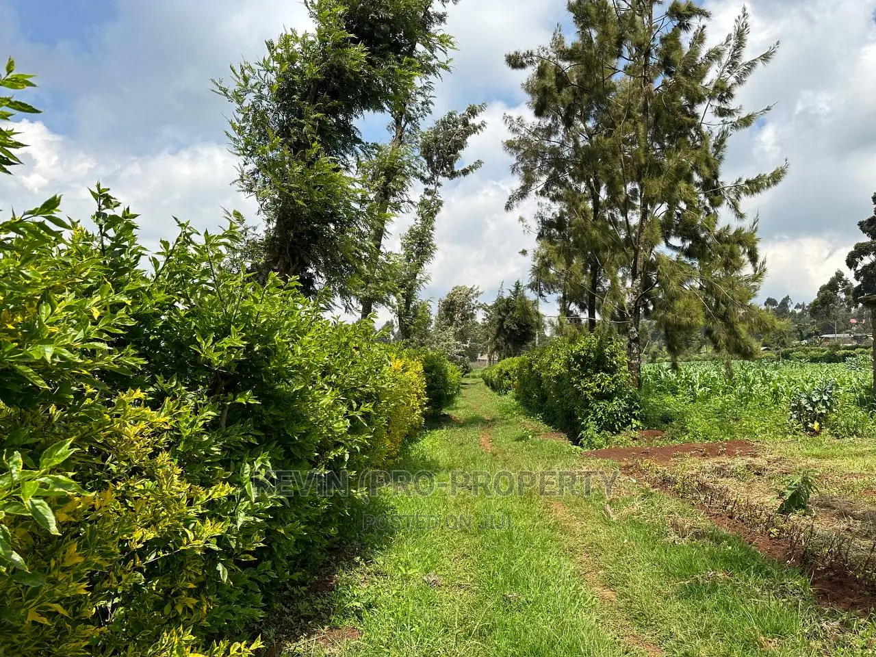 1 Acre Residential Property in Rironi - Close Proximity to Tilisi Estate in Limuru