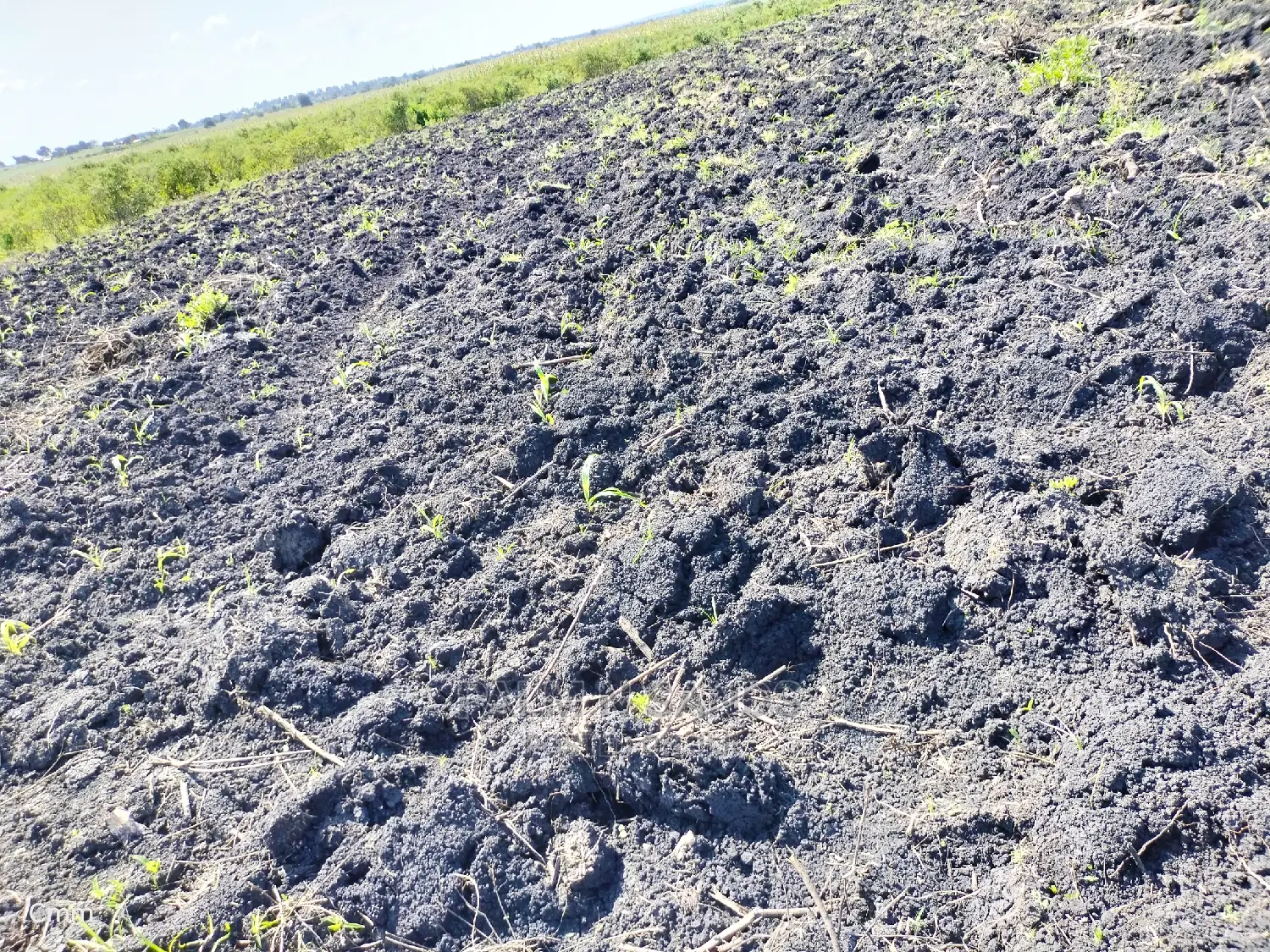 Agricultural Land for Sale: Your Farm Dreams Realized in Dzombo