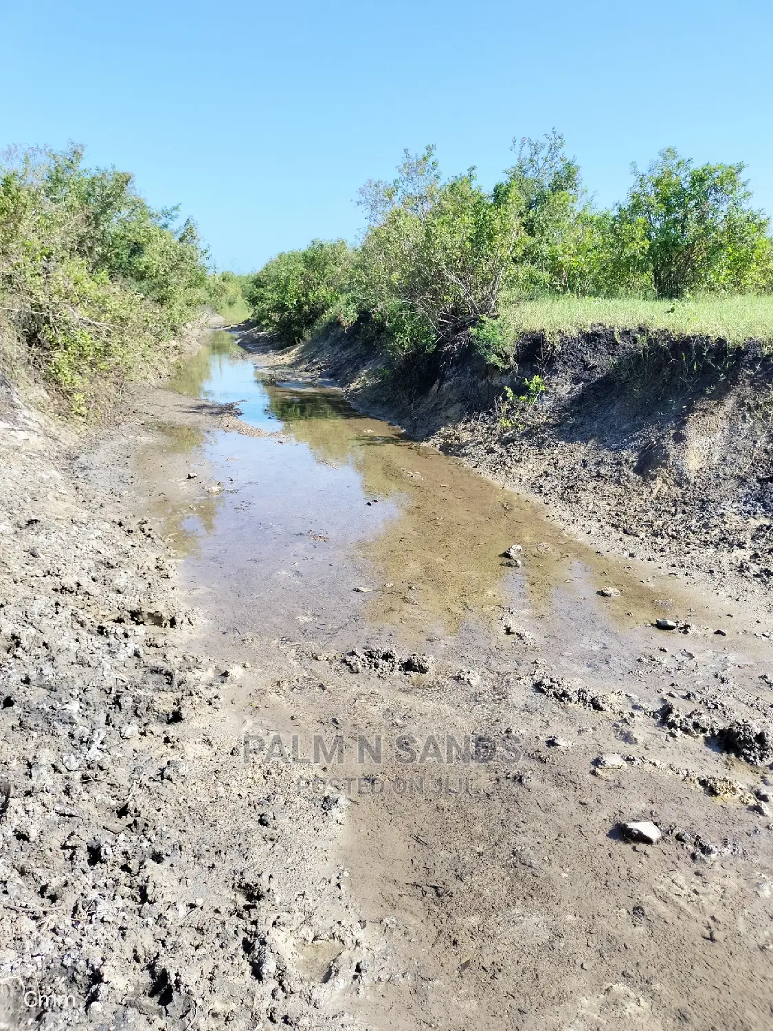 Agricultural Land for Sale: Your Farm Dreams Realized in Dzombo