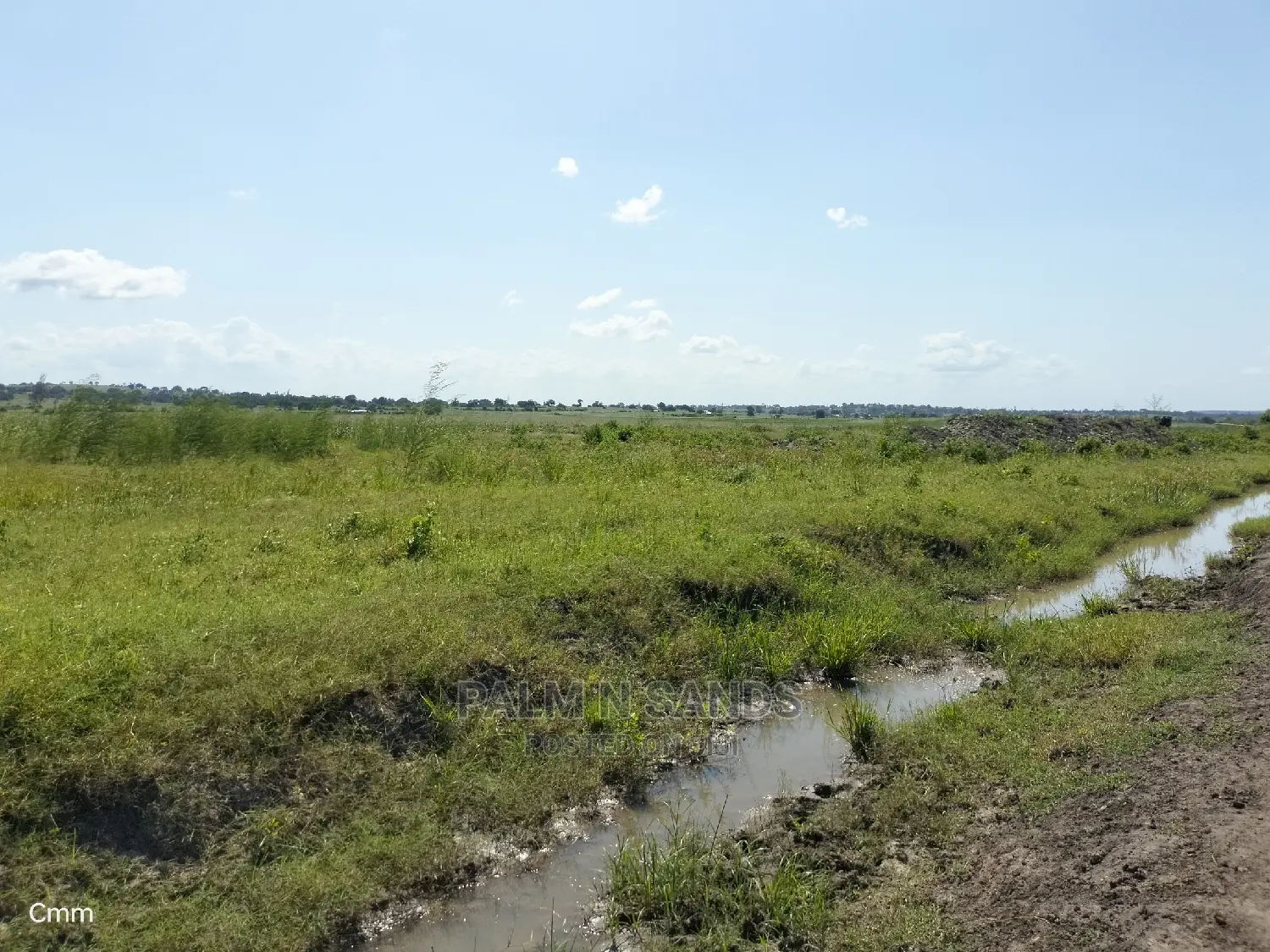 Agricultural Land for Sale: Your Farm Dreams Realized in Dzombo