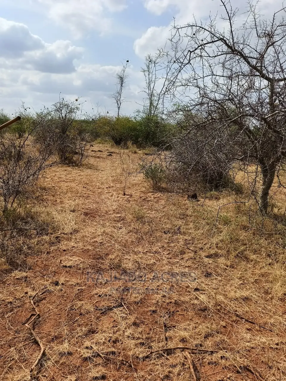 246 Acre Commercial Land for Sale - Per Acre Pricing Available in Ewaso Kendong