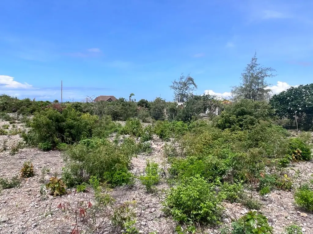 Affordable Beachfront Land: Malindi's Hidden Gems in Malindi