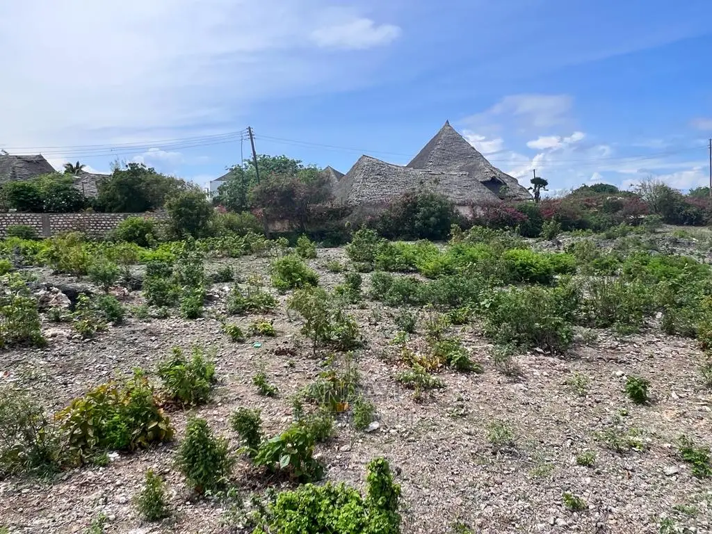 Affordable Beachfront Land: Malindi's Hidden Gems in Malindi
