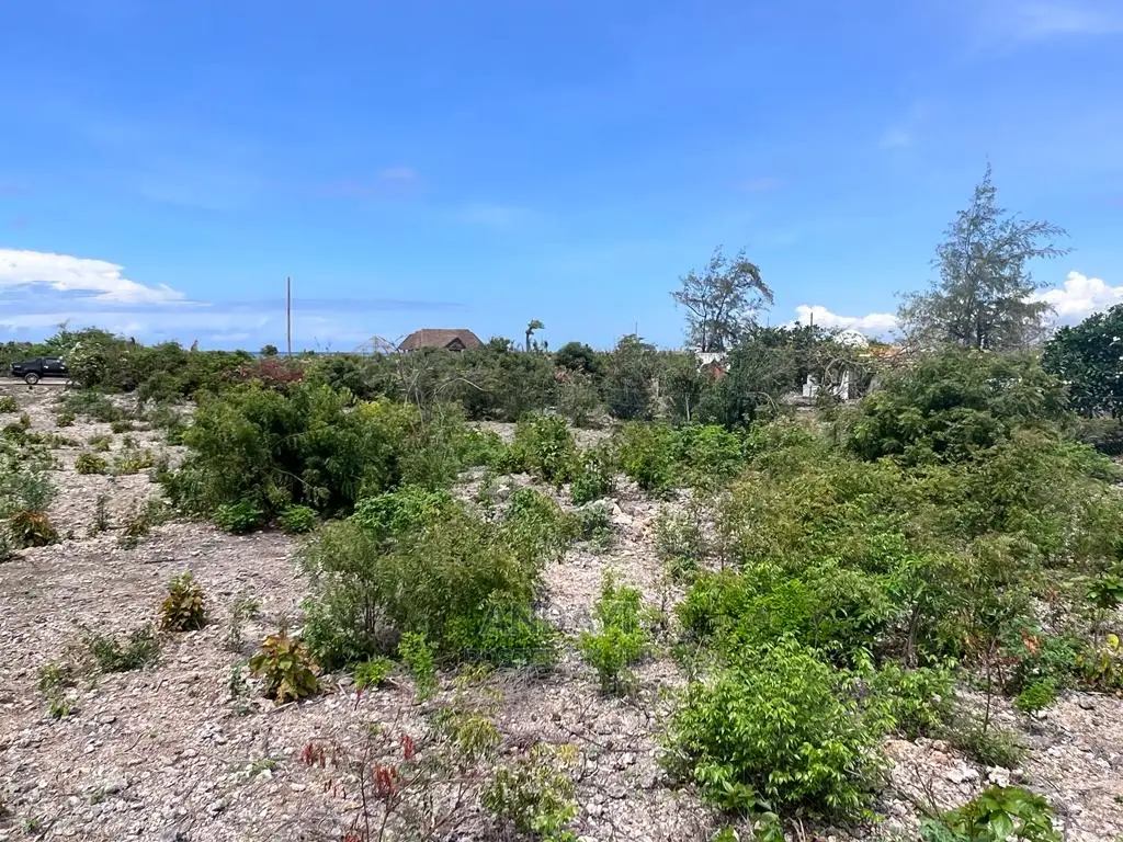 Affordable Beachfront Land: Malindi's Hidden Gems in Malindi