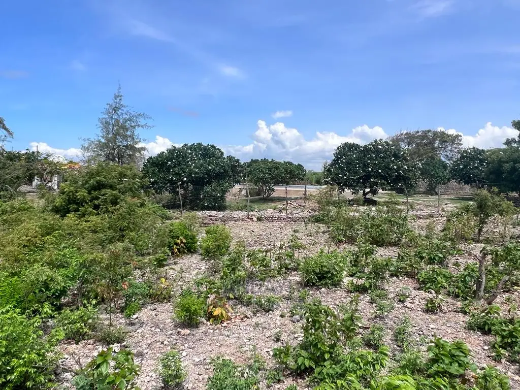 Affordable Beachfront Land: Malindi's Hidden Gems in Malindi