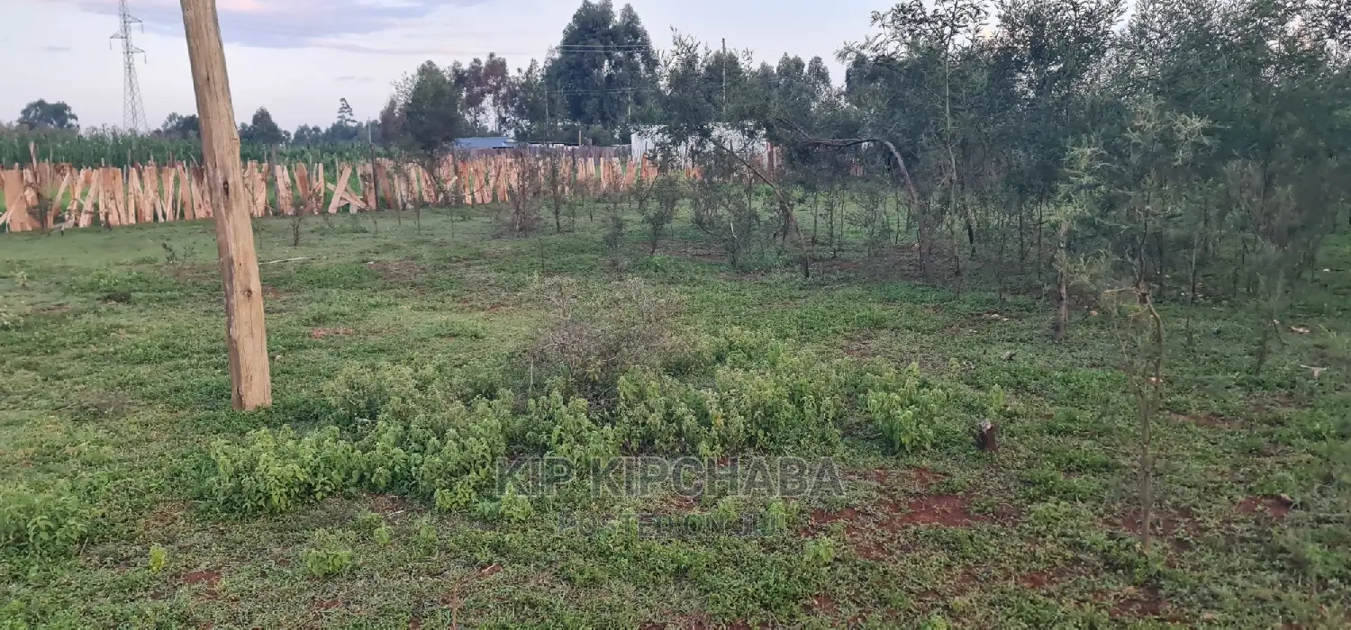 Prime 1/4 Acre Land Parcel Available in Kapseret Bypass, Eldoret - After Lobo in Kapseret