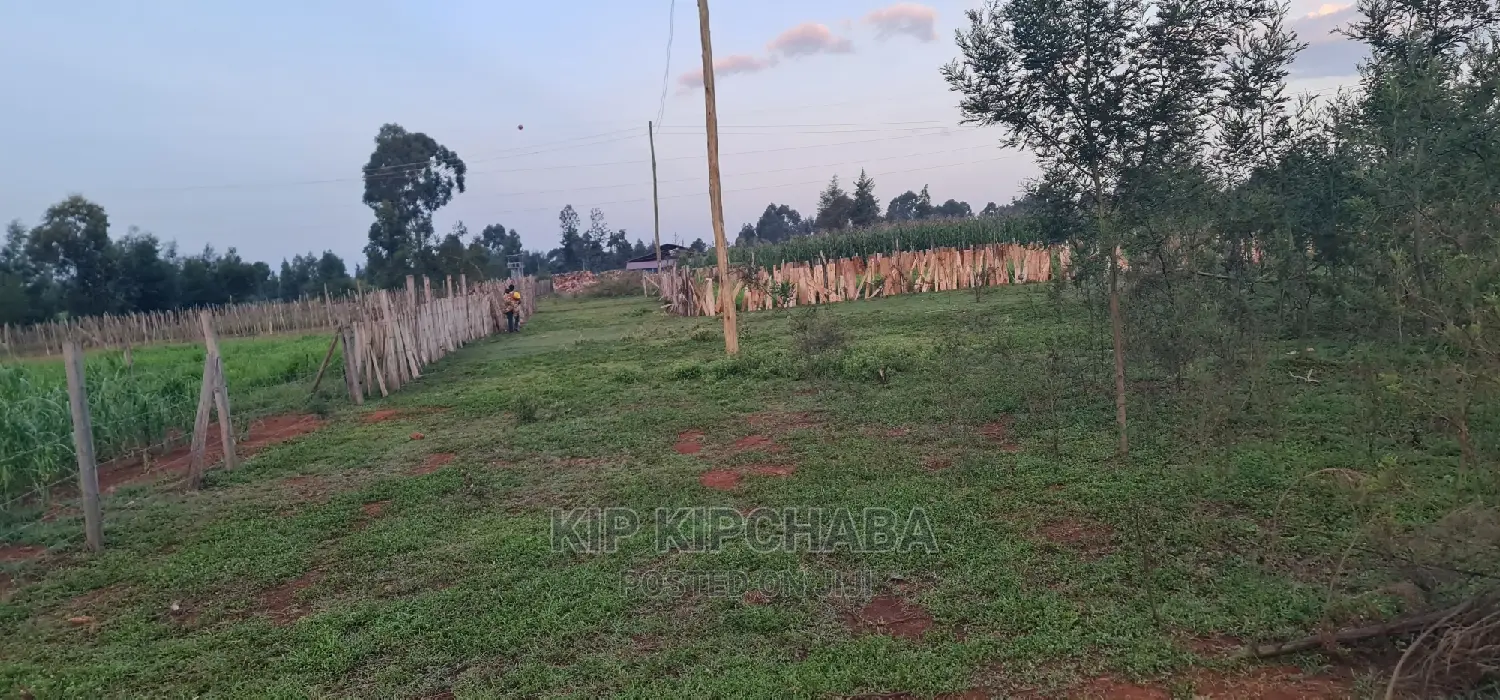 Prime 1/4 Acre Land Parcel Available in Kapseret Bypass, Eldoret - After Lobo in Kapseret