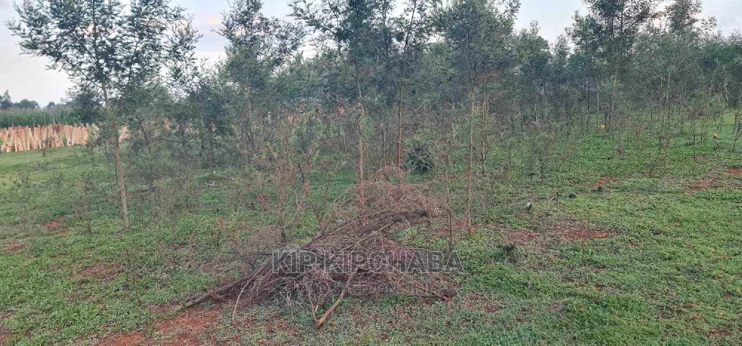Prime 1/4 Acre Land Parcel Available in Kapseret Bypass, Eldoret - After Lobo in Kapseret