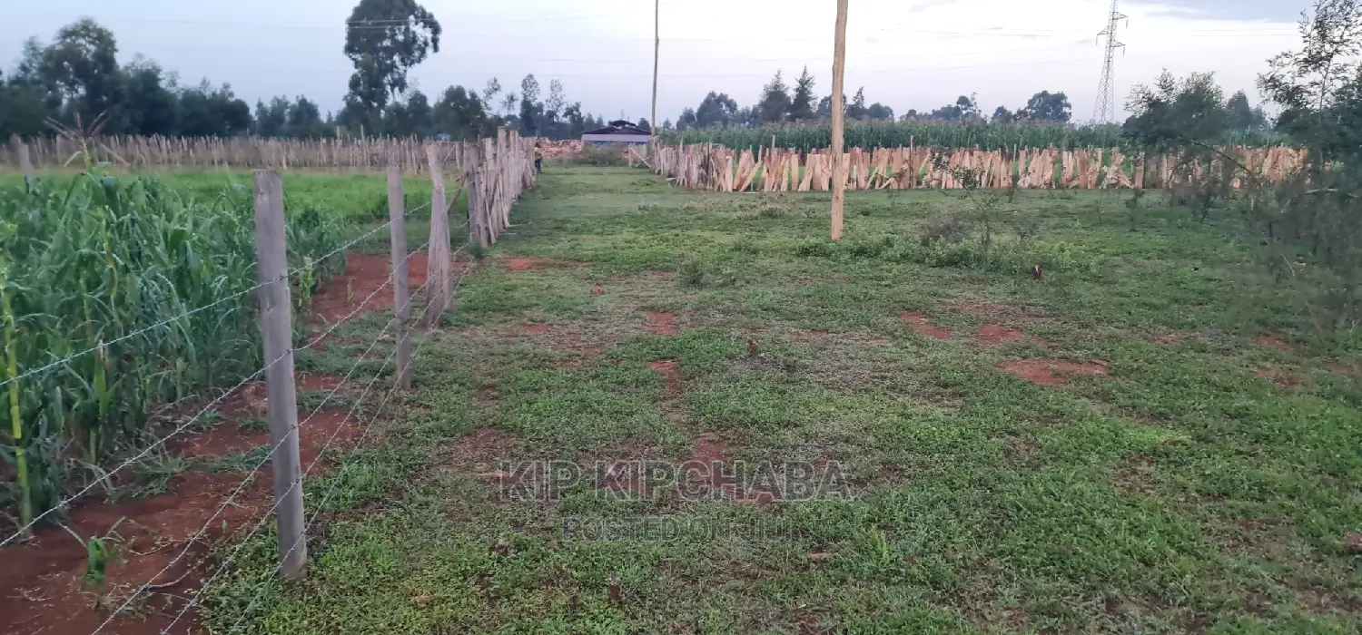 Prime 1/4 Acre Land Parcel Available in Kapseret Bypass, Eldoret - After Lobo in Kapseret