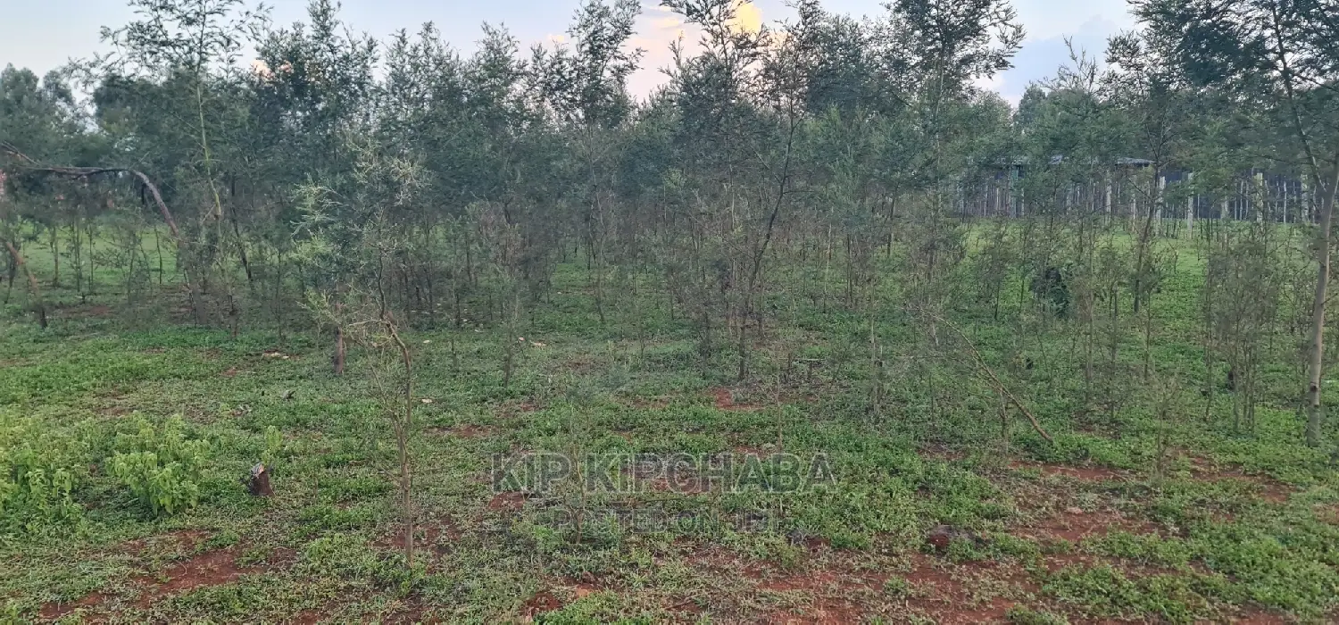 Prime 1/4 Acre Land Parcel Available in Kapseret Bypass, Eldoret - After Lobo in Kapseret
