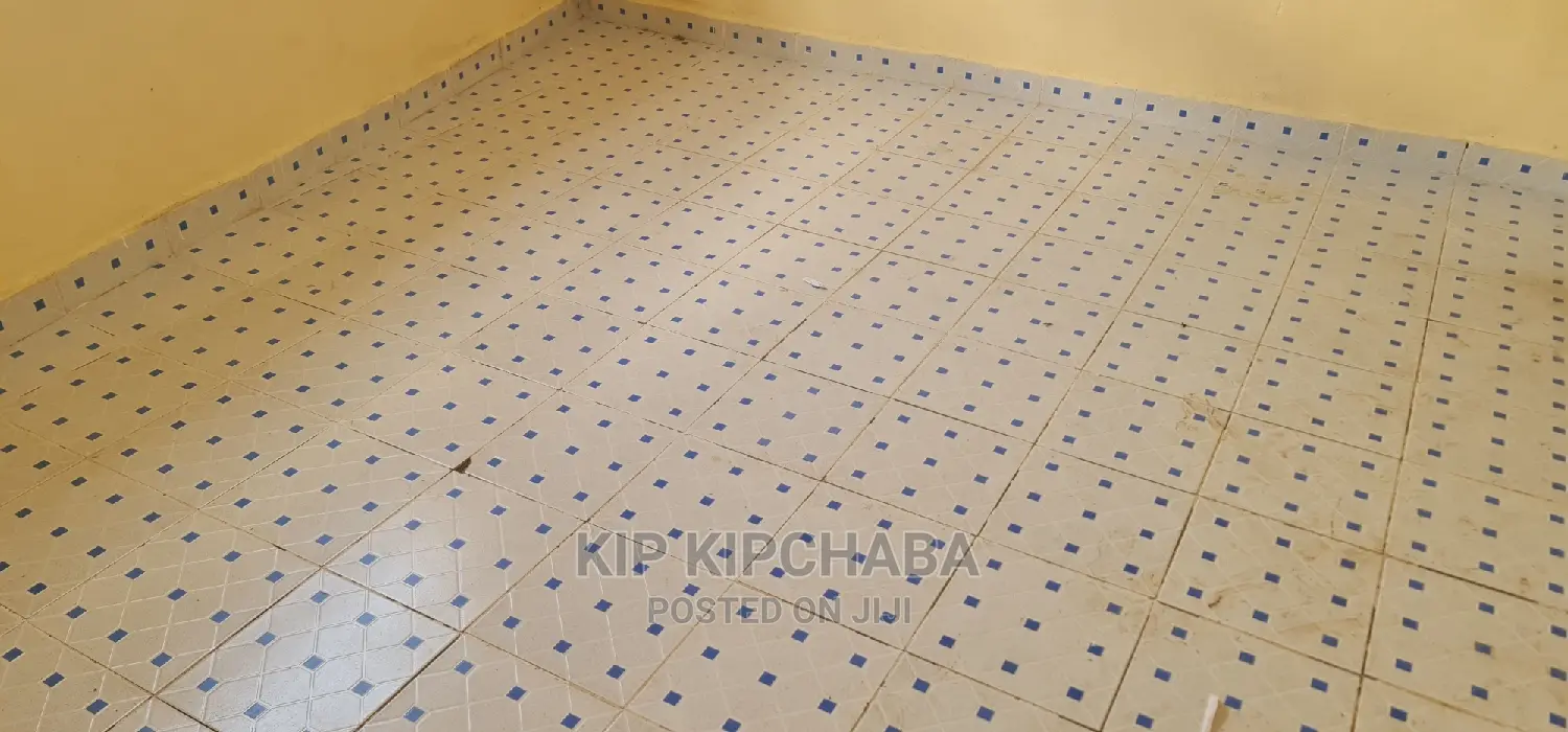 Spacious 1-Bedroom Bedsitter in Kimumu - Rent Now in Kimumu
