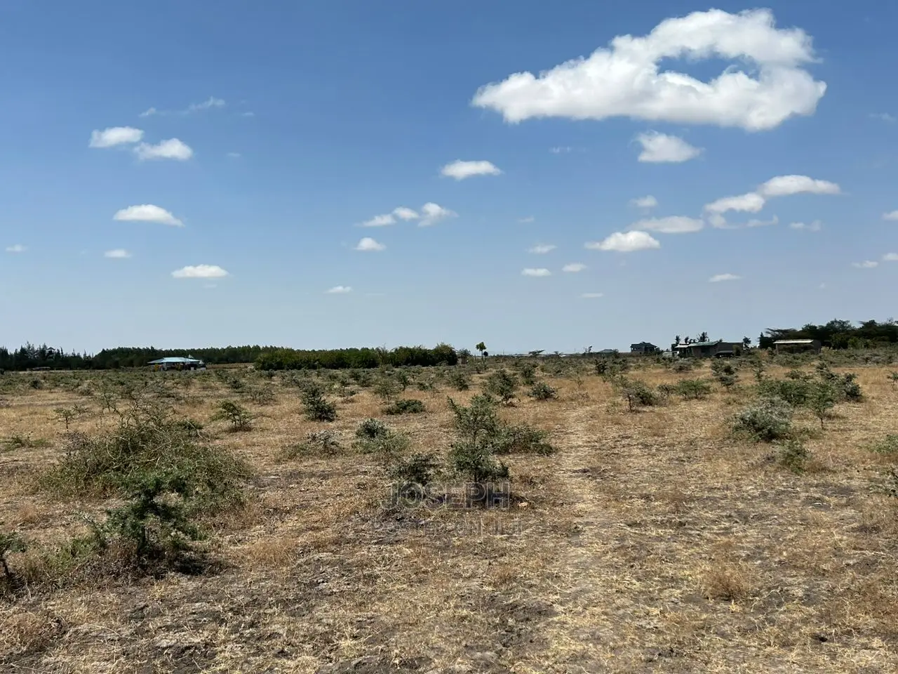 6-Acre Tuala Rangua Haven - Invest in a Piece of Paradise Today in Maasai Lodge