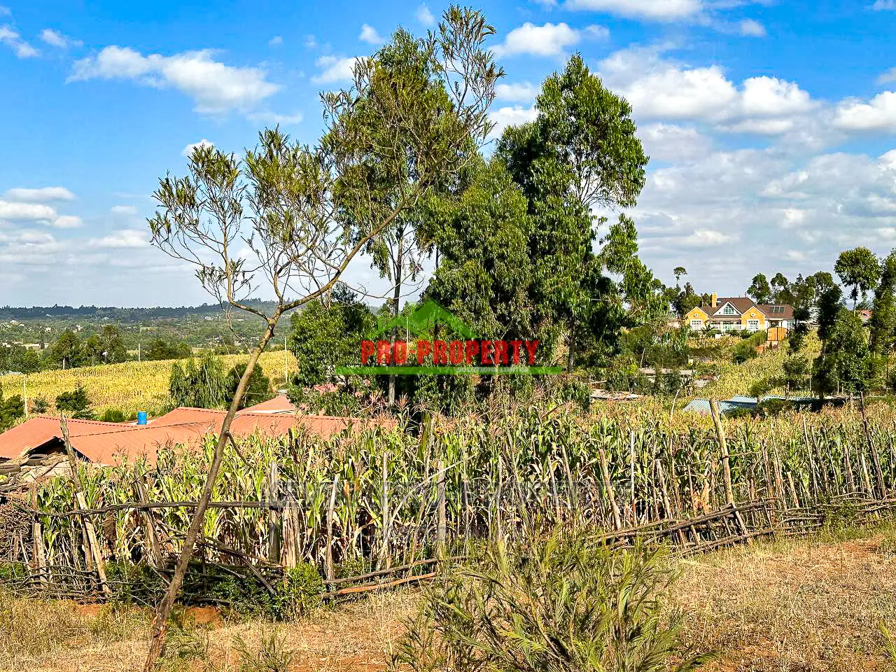 Own a Residential Plot in Kikuyu, Kamangu: Affordable and Convenient in Kikuyu