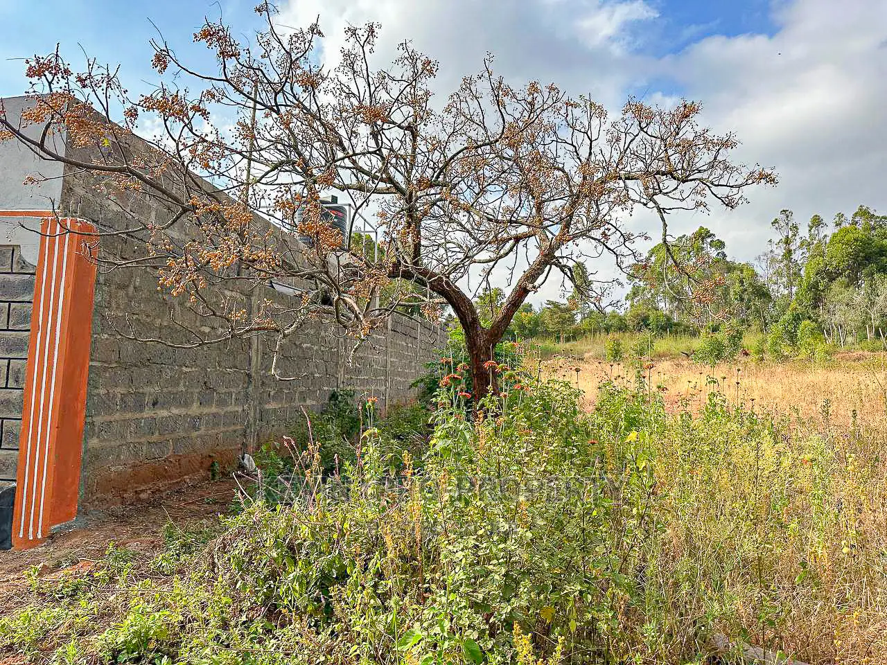 Kikuyu's Rose Gate: Exclusive Residential Plots for Sale in Kikuyu