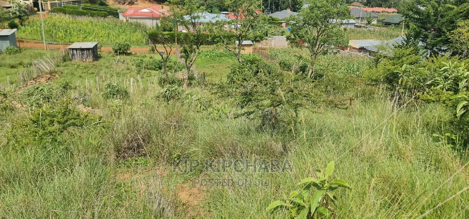 Eldoret Properties: 3 Plots for Sale in Mountsinview Kipkorgot in Hillside