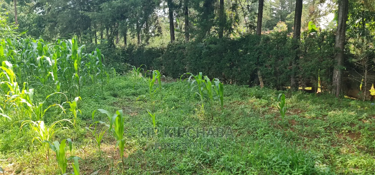 Dreaming of a Home in Eldoret? 2 Plots for Sale in Kamagut - Your Chance! in Kamagut