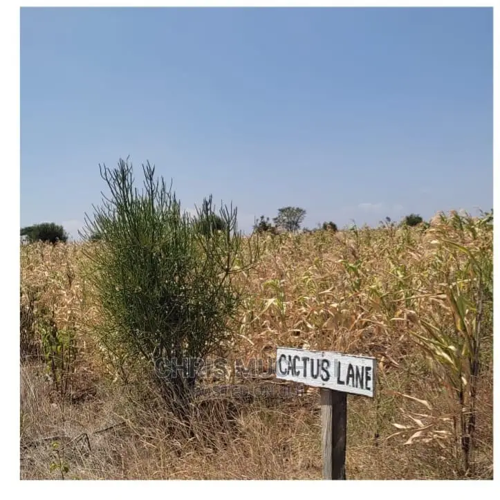 Kabati, Muranga: 1/4 Acre Land for Sale - Your Next Real Estate Investment! in Kimorori/Wempa