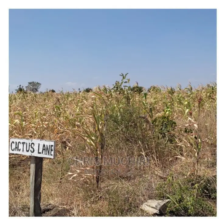 Kabati, Muranga: 1/4 Acre Land for Sale - Your Next Real Estate Investment! in Kimorori/Wempa
