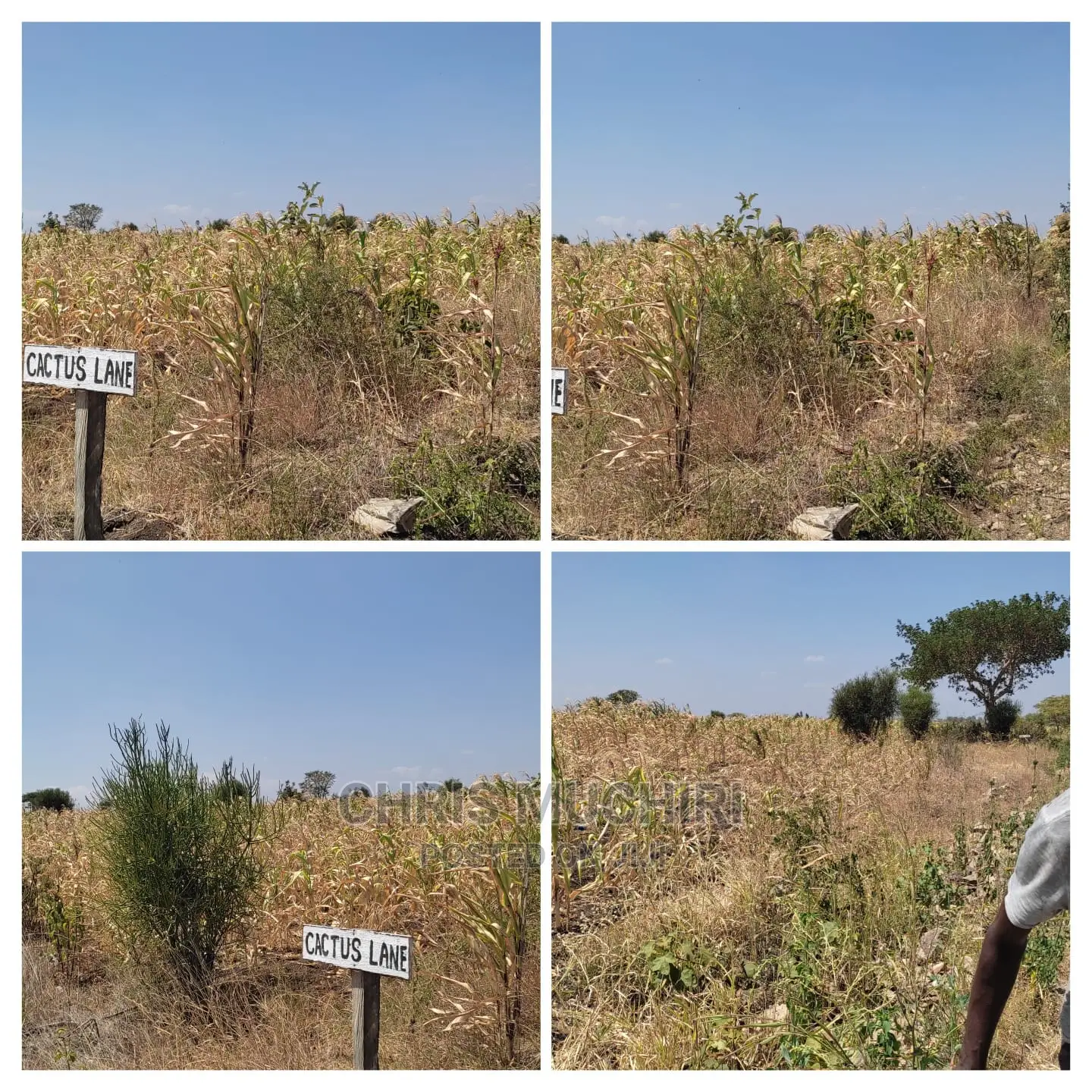 Kabati, Muranga: 1/4 Acre Land for Sale - Your Next Real Estate Investment! in Kimorori/Wempa