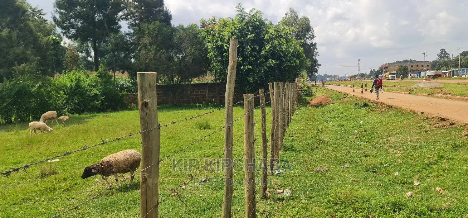 Highway Front Land Plots in Langas Poly, Eldoret - Buy Now for Investment Opportunities in Pioneer Estate